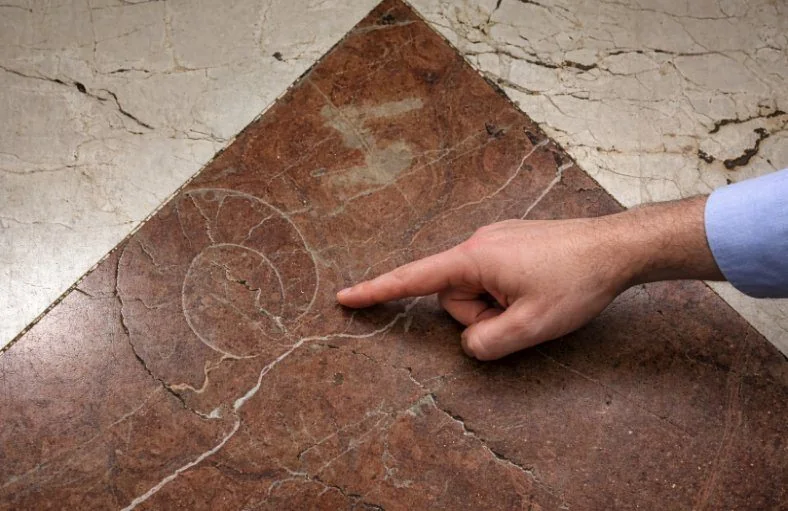 A hand pointing at an ammonite fossil in a polished marble slab